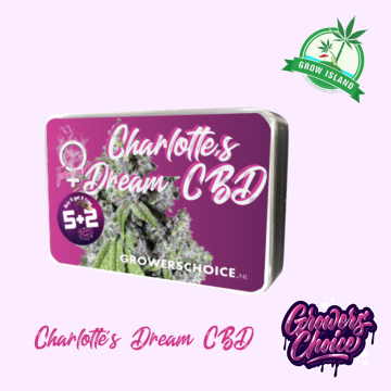 Charlotte's Dream CBD hemp seed in metal box with bud on it