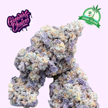 Frozen Cherry Runtz hemp flower bud