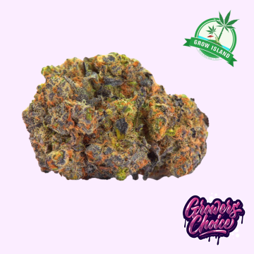 San Fernando Valley x The Purps hemp flower bud