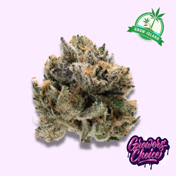 Tropical Cookies hemp flower bud