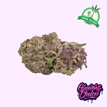 Ultra Violet GMO hemp flower bud