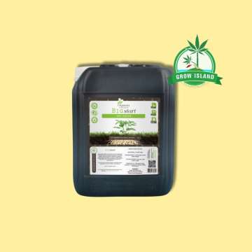 Big Start for roots from Organics Nutrients 5L black plastic bottle with yellow background and green Grow Island logo in the right upper corner