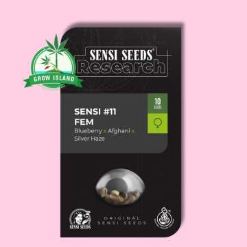 Sensi 11 Research black package  from Sensi Seeds with hell rose background and green Grow island logo in the left upper corner