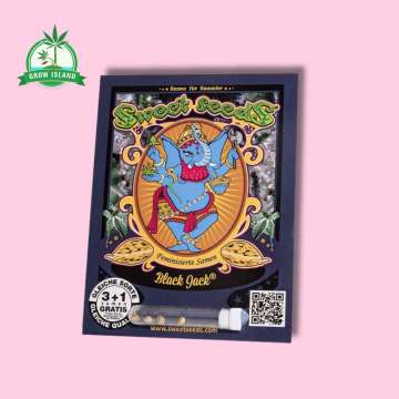 Black Jack Seeds in plastic holder on a black paper with sweet seeds elephant logo and pink background and green Grow Island logo in the left corner