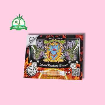Jet Fuel Mandarine XL auto Seeds in plastic holder on a red paper with sweet seeds elephant logo and pink background and green Grow Island logo in the left corner