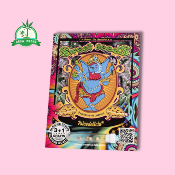 Psicodelicia Seeds in plastic holder on a paper with sweet seeds elephant logo and with pink background and green Grow Island logo in the left corner