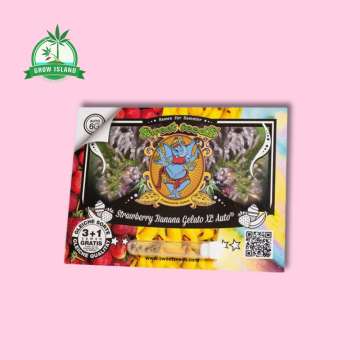 Strawberry Banana Gelato XL auto Seeds in plastic holder on a red-yellow-blue paper with sweet seeds elephant logo and pink background and green Grow Island logo in the left corner