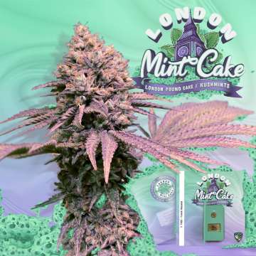 T. H. Seeds / FEM / London Mint Cake