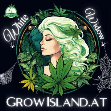 White Widow XXL Logo — grünhaarige Frau, umgeben von Cannabisblättern.